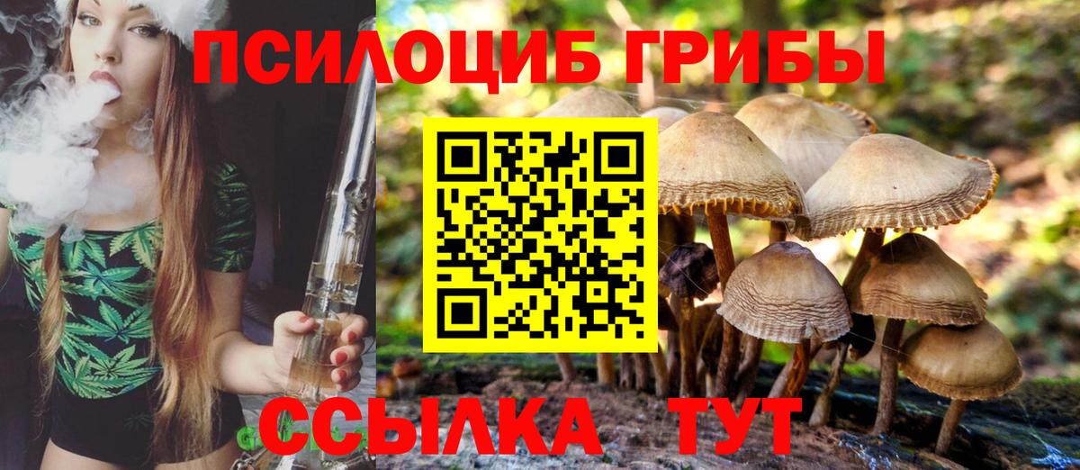 купить   Псилоцибиновые грибы Cubensis  Вход с VPN  Карачаевск 